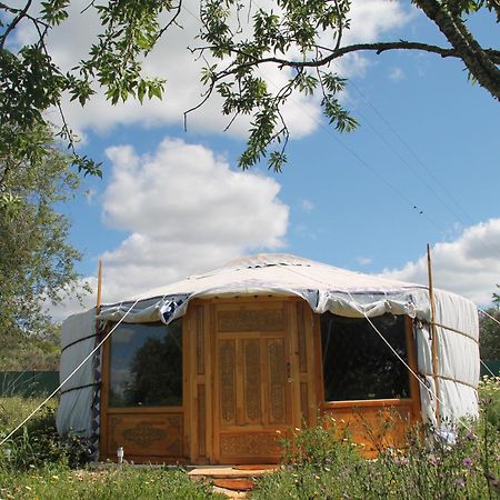 Tiny House Eco Resort Estevais Exterior photo