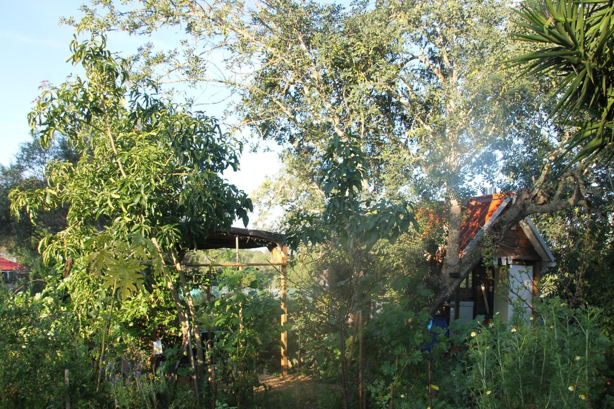 Tiny House Eco Resort Estevais Exterior photo